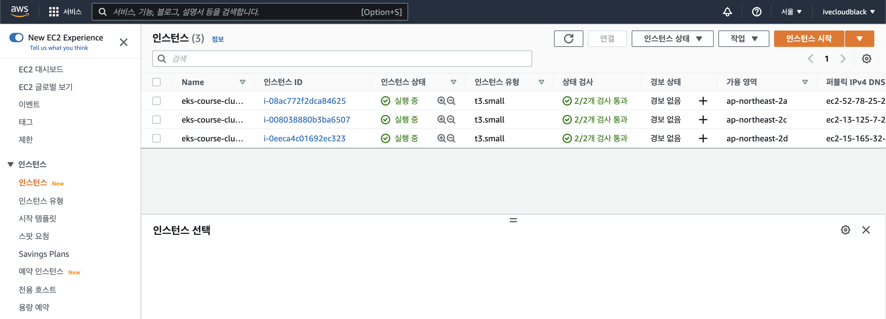 eksctl이 생성한 노드그룹의 t3.small 인스턴스 3대 5