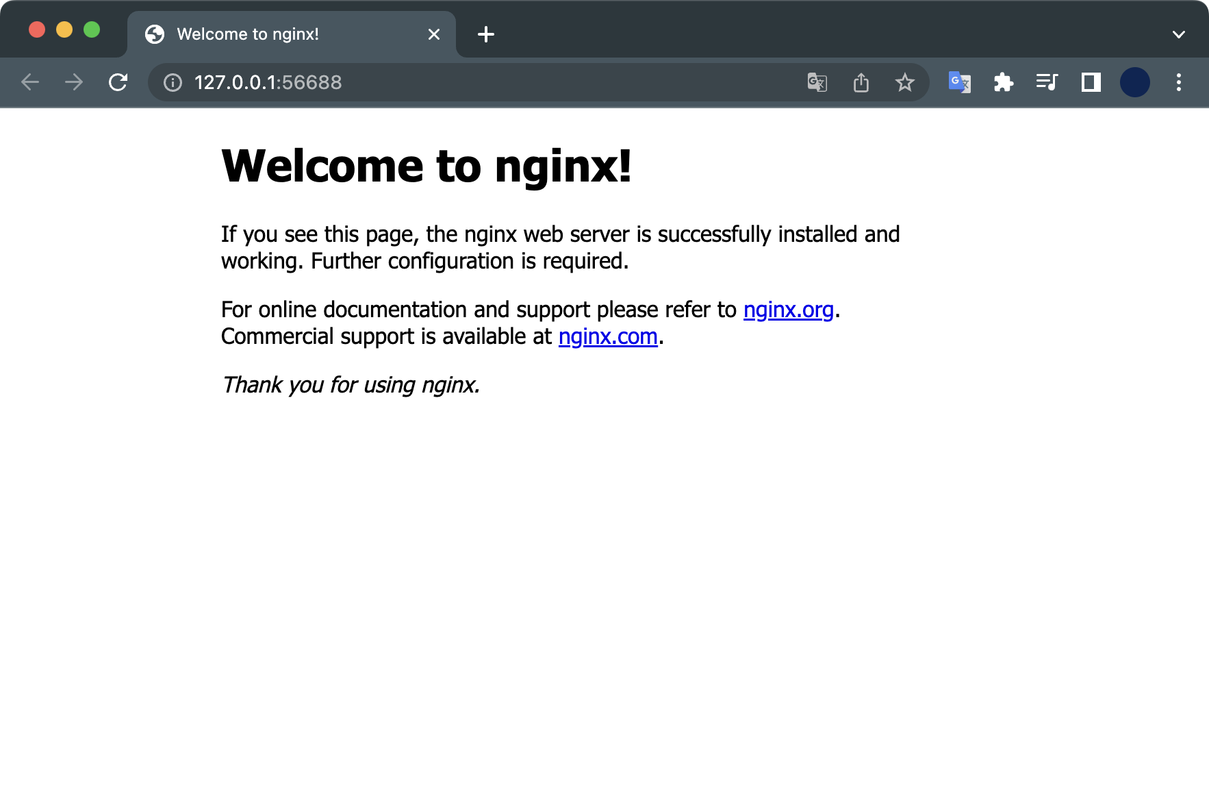 nginx index page